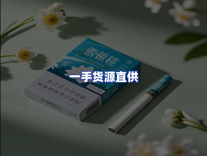 专业团队